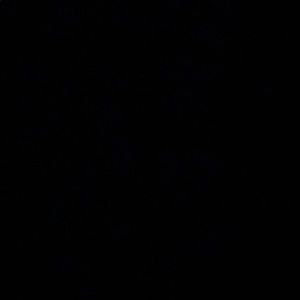 Meet your Posher, Terrance